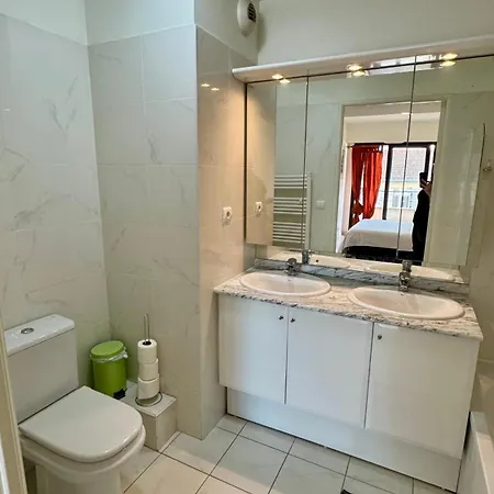 Apartment Spacious Luxury Apt, 12 Min Walk To Croisette And Conf Centre Cannes