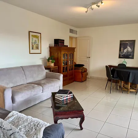Spacious Luxury Apt, 12 Min Walk To Croisette And Conf Centre * Cannes