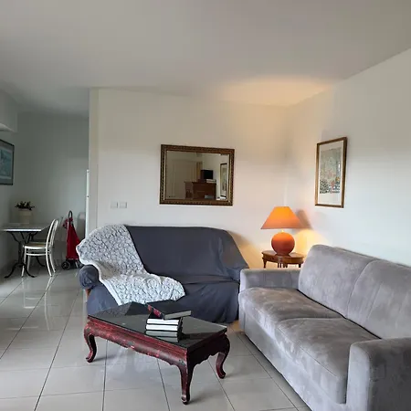 Spacious Luxury Apt, 12 Min Walk To Croisette And Conf Centre