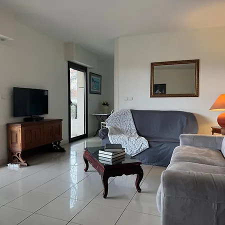 Spacious Luxury Apt, 12 Min Walk To Croisette And Conf Centre Cannes