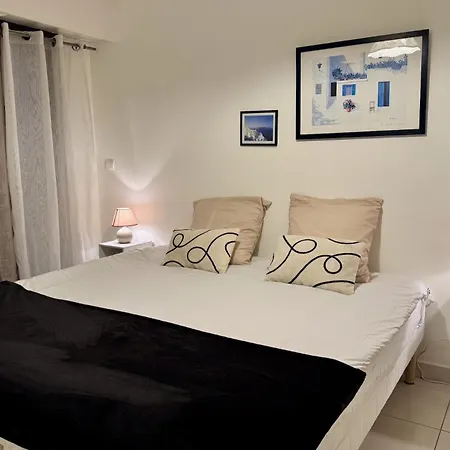 Spacious Luxury Apt, 12 Min Walk To Croisette And Conf Centre Apartment