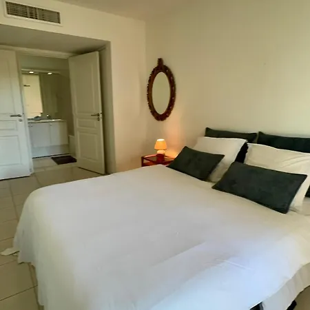 Apartment Spacious Luxury Apt, 12 Min Walk To Croisette And Conf Centre