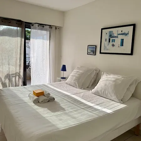 Spacious Luxury Apt, 12 Min Walk To Croisette And Conf Centre Апартаменты *