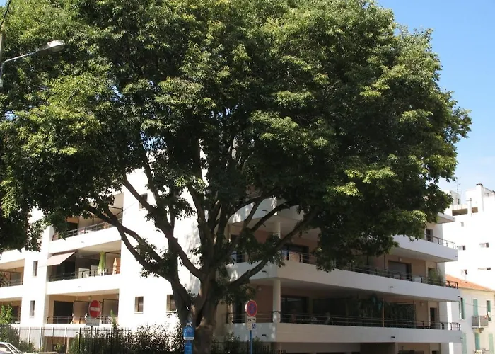 Spacious Luxury Apt, 12 Min Walk To Croisette And Conf Centre