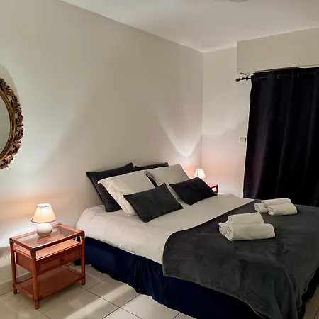 Spacious Luxury Apt, 12 Min Walk To Croisette And Conf Centre 公寓 戛纳